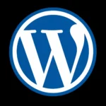 Best_Freelance_Digital_Marketer_in_Kollam